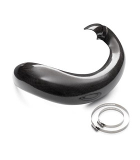Expansion chamber guard