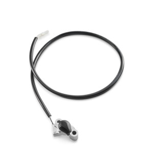 Ignition curve switch