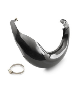 Expansion chamber guard