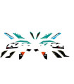 Set Stickere KTM Duke