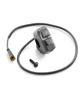Combination switch